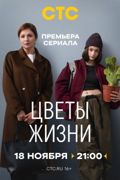 Постер «Цветы жизни»