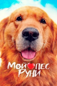 Постер «Мой пёс Руни»