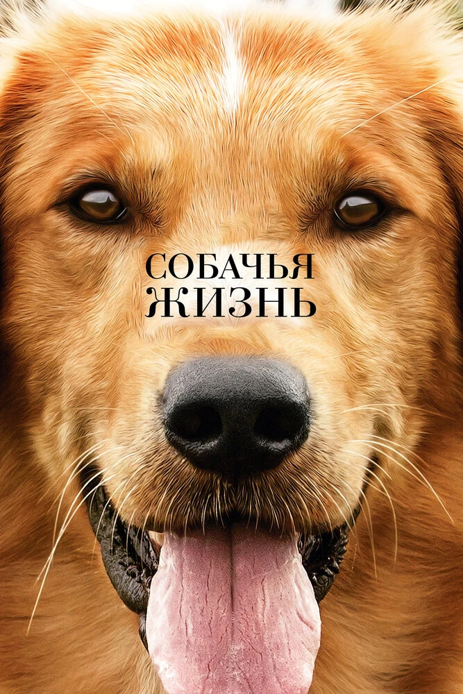 Постер Собачья жизнь