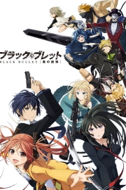 Черная пуля