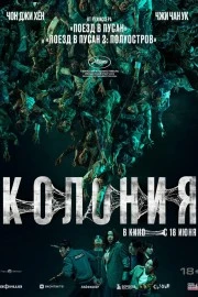 Колония